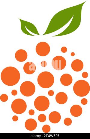Orange fruit icon logo design vector template Stock Vector
