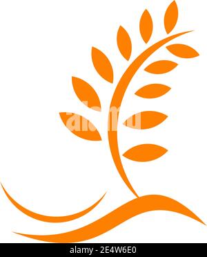 Wheat flour agriculture logo design inspiration vector template Stock Vector
