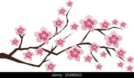 vector illustration of blossom branches with pink flowers, cherry blossom, orchid. Stock Vector