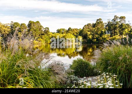 Lake Daylesford on a summer morning, Daylesford, Victoria, Australia Stock Photo