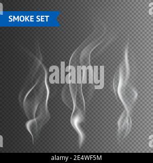 Delicate white cigarette smoke waves on transparent background vector illustration Stock Vector