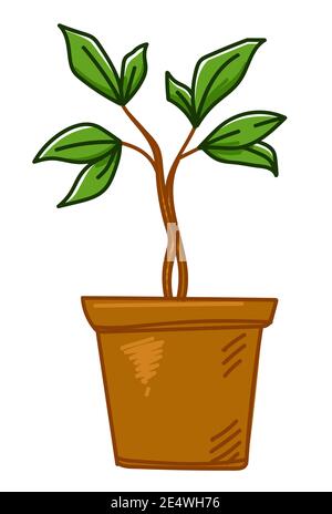 Growing tree plant in pot, agriculture and hobby Stock Vector