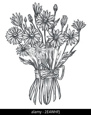 Camomile flowers tied in bouquet, rustic style Stock Vector