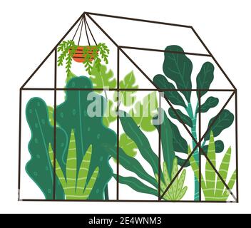 Orangery with green plants and botany leafage Stock Vector