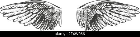 Angel wings, bird wings collection cartoon hand drawn vector illustration sketch. Stock Vector