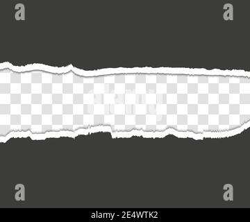Ripped paper. Torn, ripped pieces. Vector illustration. Stock Vector