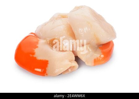 Studio shot of raw scallops cut out against a white background - John Gollop Stock Photo