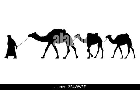 Silhouette of caravan of camels. Driver-berber with three camels dromedary. Vector illustration EPS8 Stock Vector