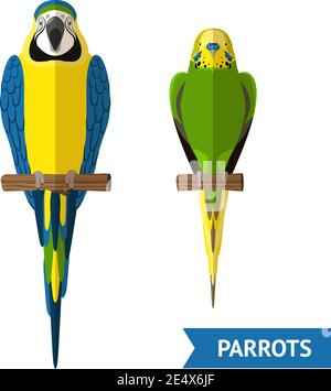 Two front view sitting parrots colorful flat decorative icons set isolated vector illustration Stock Vector