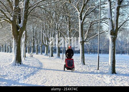 Leicester, Leicestershire, UK 25th Jan 2021. UK. Weather. Snow. A snowy morning in Victoria Park in Leicester City. Alex Hannam/Alamy Live News Stock Photo