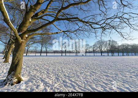 Leicester, Leicestershire, UK 25th Jan 2021. UK. Weather. Snow. A snowy morning in Victoria Park in Leicester City. Alex Hannam/Alamy Live News Stock Photo