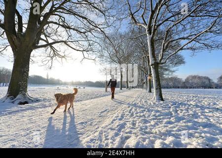 Leicester, Leicestershire, UK 25th Jan 2021. UK. Weather. Snow. A snowy morning in Victoria Park in Leicester City. Alex Hannam/Alamy Live News Stock Photo