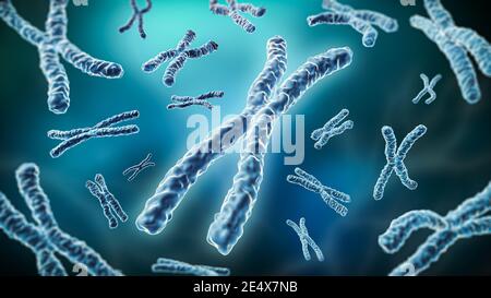 Pair of chromosomes on a blue background 3D rendering illustration. Genetics, reproduction, meiosis, science, medicine concepts. Stock Photo