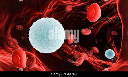 White blood cell or Lymphocyte B amidst red blood cells or erythrocytes within a blood vessel 3D rendering illustration. Immune system, anatomy, medic