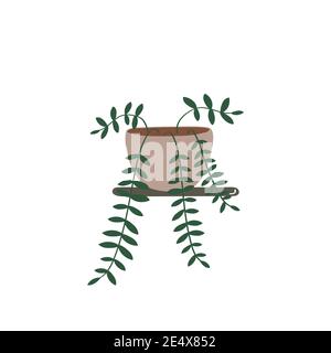Tradescantia hand drawn icon. House plant illustration. Room flower sign. Vector flat doodle graphic Stock Vector