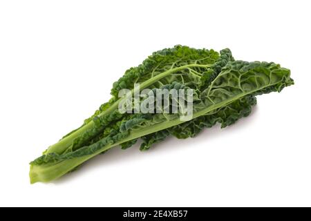 Black cabbage, italian kale isolated on white background