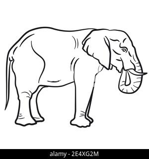 linear pen illustration of the elephant on the white background Stock Vector