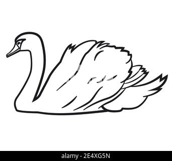 linear illustration of a swimming swan on the white background Stock Vector