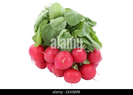 Red radish healthy eating vegetable isolated on a white background Stock Photo