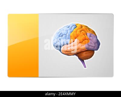 brain anatomy lobes symbol, button, Creativity, Novel Idea, Science Neural network. IQ testing, artificial intelligence virtual emulation science tech Stock Photo
