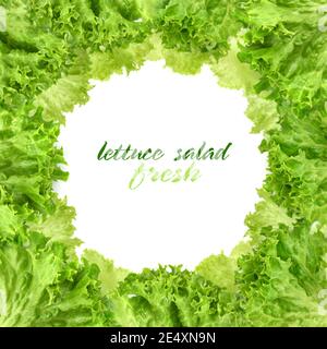 Frame of fresh lettuce leaves on white background Stock Photo