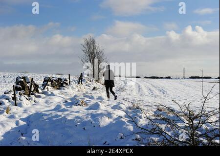 Bury, Greater Manchester, England, 25th January 2021. A walker in the snow covered fields around the village of Affestide, Bury, as the North West of England woke up to a fresh blanket of snow to start the new week. Credit: Paul Heyes/ Alamy Live News Stock Photo