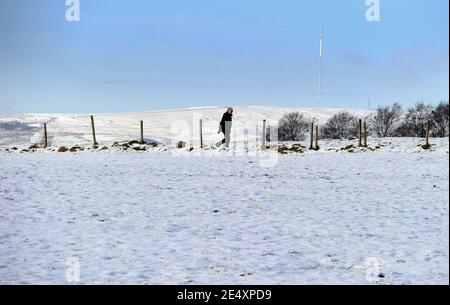 Bury, Greater Manchester, England, 25th January 2021. A walker in the snow covered fields around the village of Affestide, Bury with the aptly named Winter Hill in the background. The North West of England woke up to a fresh blanket of snow to start the new week. Credit: Paul Heyes/ Alamy Live News Stock Photo