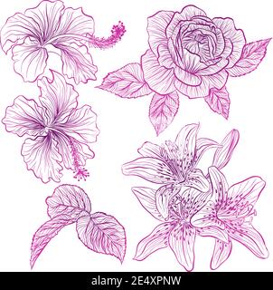 Vector illustration in line art style. Set of flowers of hibiscus, rose, lily isolated on white background. Hand drawn botanical picture Stock Vector