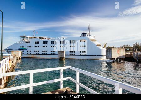 Sorrento Queenscliff Ferry in Australia Stock Photo