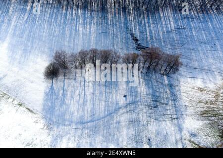 Manchester, UK, 25th Jan 2021. Members of the public enjoy snowfall at Heaton Park in Manchester, UK. Credit: Jon Super/Alamy Live News. Stock Photo