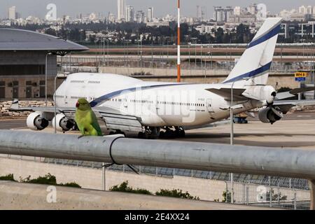 Lod, Israel. 25th Jan, 2021. El Al Airlines planes are seen parked at Tel Aviv's Ben Gurion International Airport just hours ahead of a near total air travel ban taking effect at midnight 25th January, 2021, proposed and approved by the government cabinet less than 24 hours ago. Exceptions will include only circumstances such as medical treatment, judicial proceedings or funerals of close family relatives but even in such cases no commercial flights will be available. Emergency Coronavirus regulations will be in effect at least until 31st January, 2021. Credit: Nir Alon/Alamy Live News