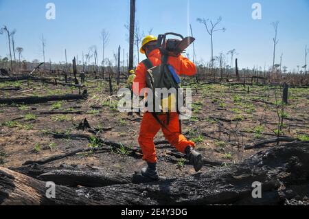 Fire fighters at the Amazonian Rain forest fire, Brazil 2020 Stock Photo