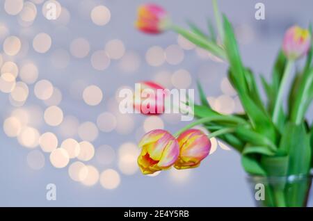 Top view of beautiful yellow and pink tulips on light background with bokeh close up. Greeting card. 8 March. Mother's Day. Happy Women's Day. Stock Photo