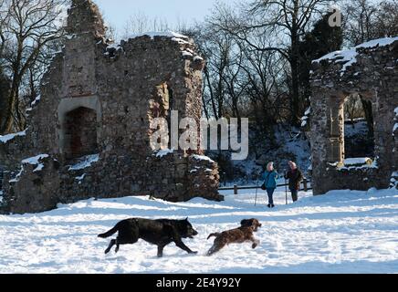 Thringstone, Leicestershire, UK. 25th January 2021. UK weather. Women walk through the ruins of  Grace Dieu Priory after the CountyÕs heaviest snowfall since 2012. Credit Darren Staples/Alamy Live News. Stock Photo