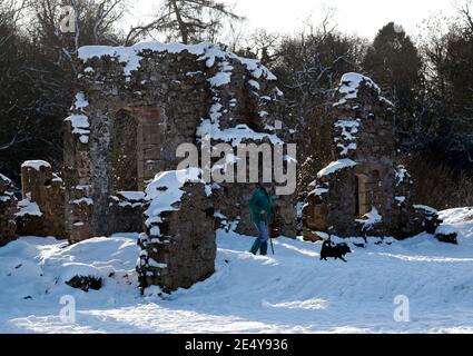 Thringstone, Leicestershire, UK. 25th January 2021. UK weather. A man walks a dog through the ruins of  Grace Dieu Priory after the CountyÕs heaviest snowfall since 2012. Credit Darren Staples/Alamy Live News. Stock Photo