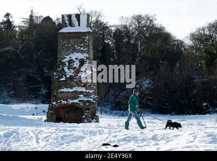 Thringstone, Leicestershire, UK. 25th January 2021. UK weather. A man walks a dog through the ruins of  Grace Dieu Priory after the CountyÕs heaviest snowfall since 2012. Credit Darren Staples/Alamy Live News. Stock Photo
