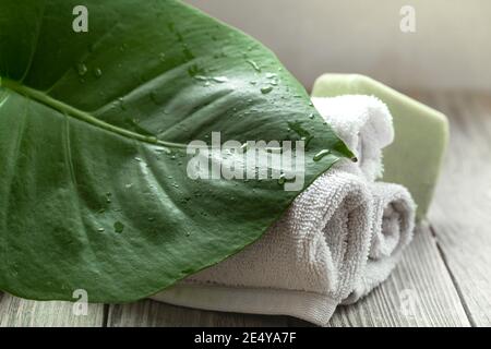 Close up of a leaf in drops of water and towels rolled into rolls near the soap on a blurred background. Stock Photo