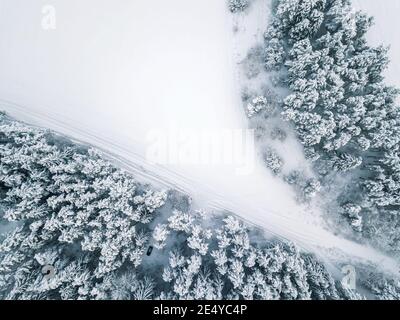 View from the drone on snow-covered fir trees, the car in the forest field. Beautiful winter snow landscape Stock Photo