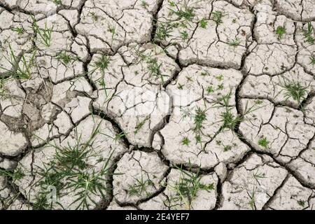 Closeup of dry soil with grass. Cracked ground background. Stock Photo