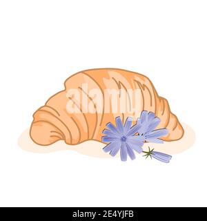 Delicious baked croissant and cute chicory flowers isolated on a white background. Vector illustration, good morning concept Stock Vector