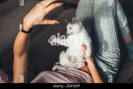 Caucasian woman is gesturing with hand while playing with her cat lying on her legs Stock Photo