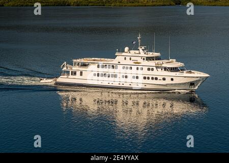 The Australian mega yacht True North cruises through calm water off the mangrove coast of Bougainville, Papua New Guinea, its tender leaving a broad trail of foam behind it. Stock Photo