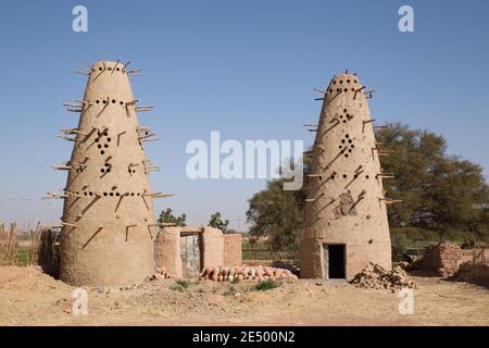 Ornamented head of a dromedary in nubian vilage in southern Egypt Stock Photo