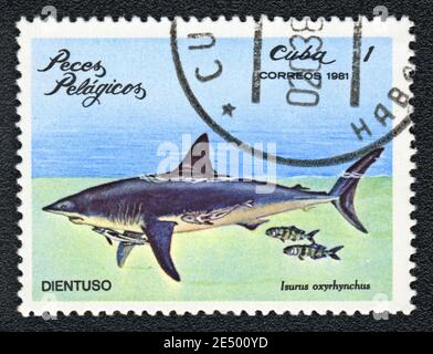 Stamp printed in Cuba shows a Shortfin mako shark (Isurus oxyrinchus),  series, circa 1981 Stock Photo