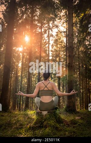 Woman in sportswear meditating in a forest at sunrise. rear view. Stock Photo