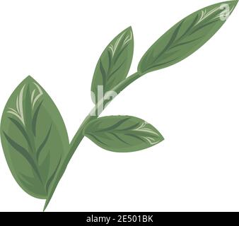 branch with ecology leafs plants green nature icons vector illustration design Stock Vector