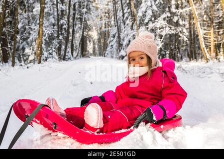 Baby on a sled on path in winter forest. Snowy woods theme. Stock Photo