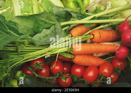 Carrots, tomatoes, radish, and green leaves mixed on display at fruit and vegetable market Stock Photo
