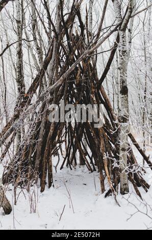 Teepee like structure made of fallen trees on a cold foggy morning at Assiniboine Forest in Winnipeg, Manitoba, Canada Stock Photo