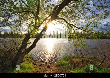 river near the village. Nature composition Stock Photo